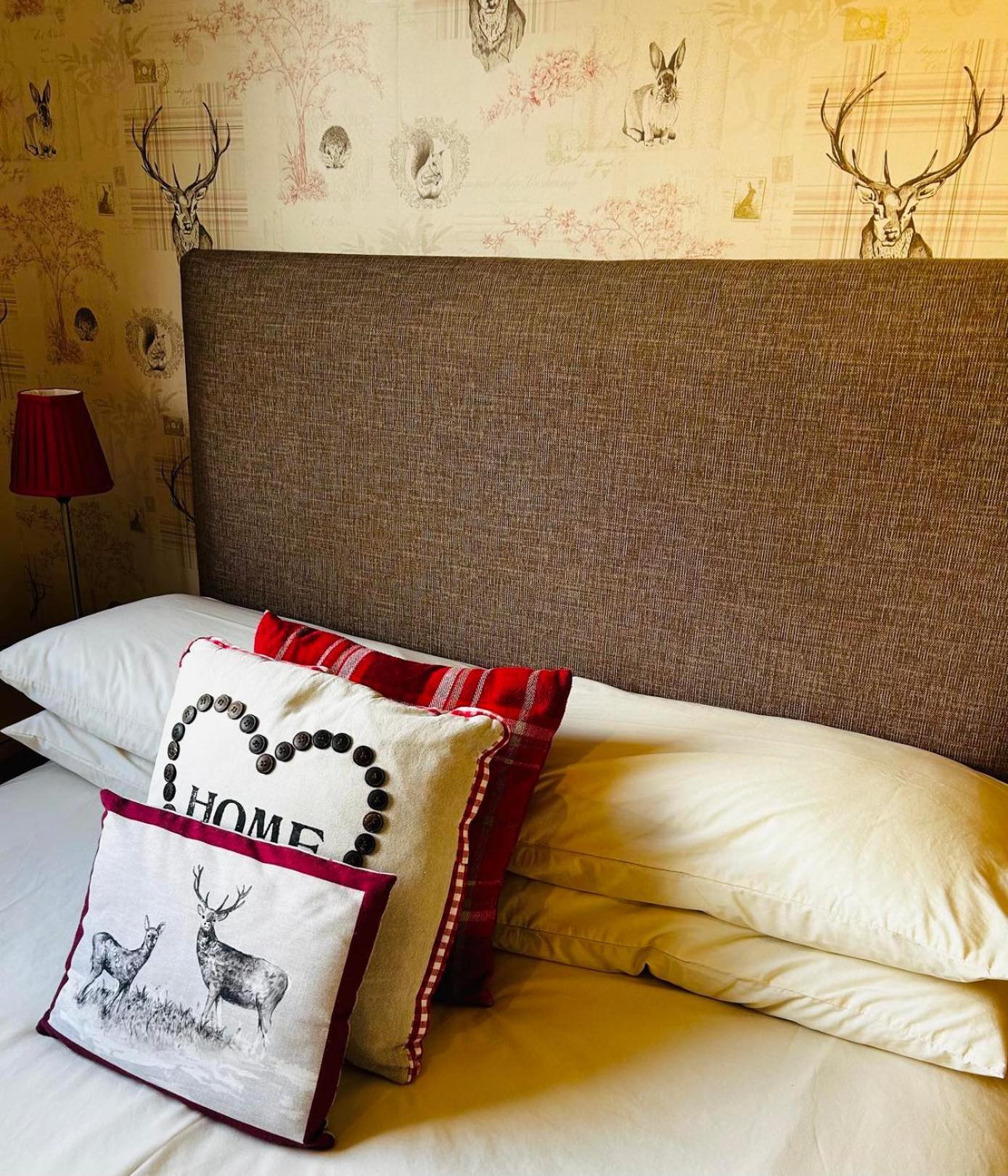 Dunroamin Bed And Breakfast Aviemore Εξωτερικό φωτογραφία